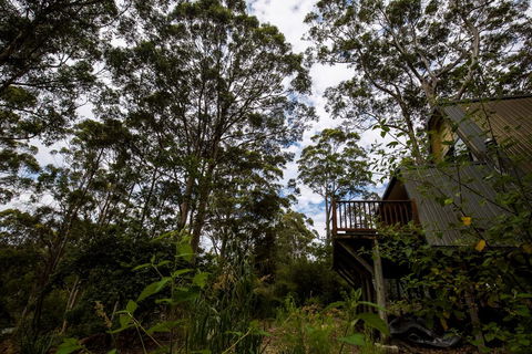 Green Leaves Cabin - Sunshine Coast Guide 0