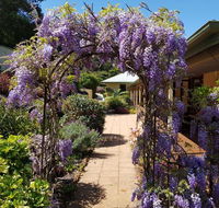 Gumtree House Montville - Sunshine Coast Guide