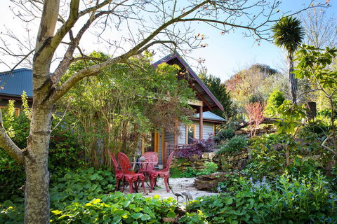 Hills End Camellia - Sunshine Coast Guide 0