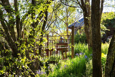 Hills End Camellia - Sunshine Coast Guide 3