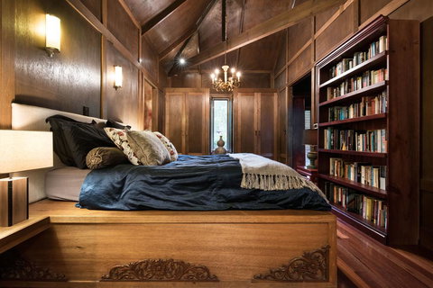 Hills End Camellia - Sunshine Coast Guide 1