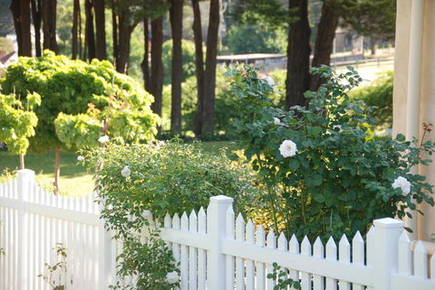 Hillside Cottage Berrima - Sunshine Coast Guide 3