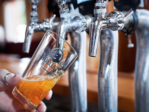 Holgate Brewhouse - Sunshine Coast Guide 0