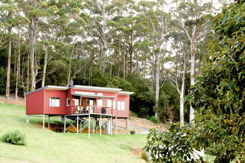 Karrak Reach Forest Retreat - Sunshine Coast Guide 0