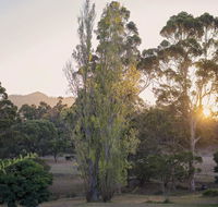 Karribank and the Karri On Bar - Sunshine Coast Guide