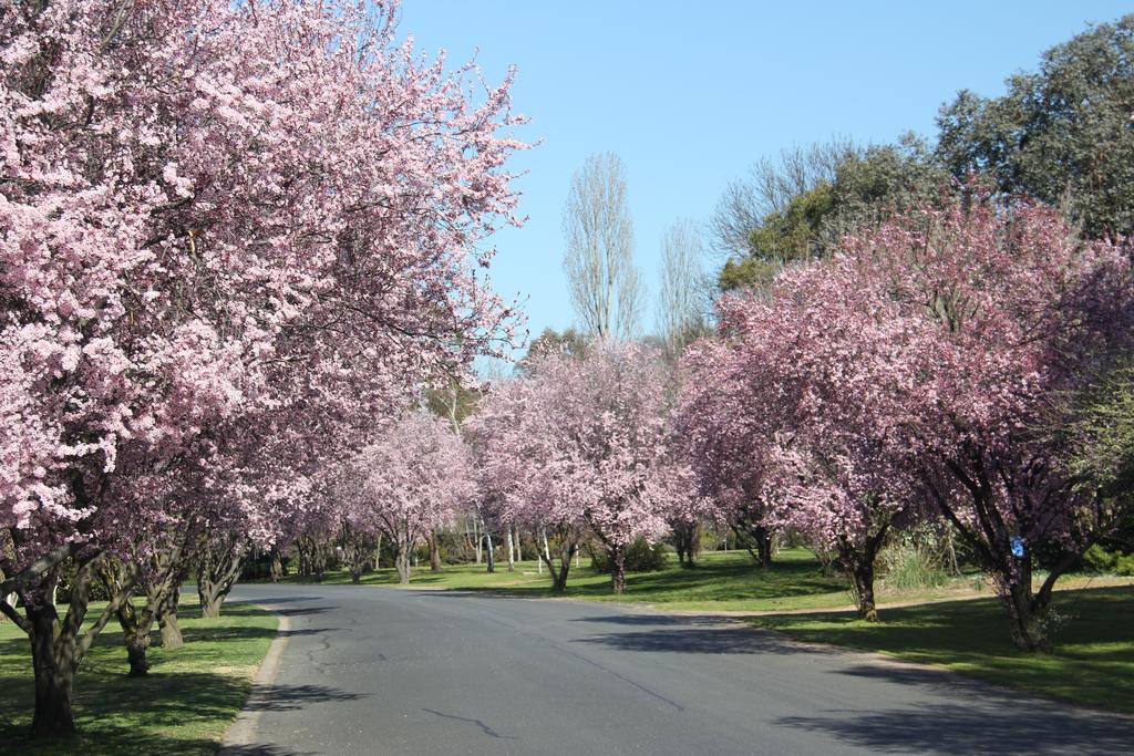 Kelso NSW Sunshine Coast Guide