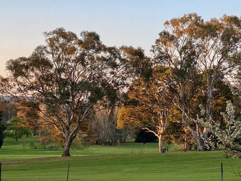 Links House - Sunshine Coast Guide 2