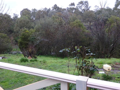 Mandall Avenue - Sunshine Coast Guide 1