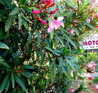 Mercury motor inn - Sunshine Coast Guide