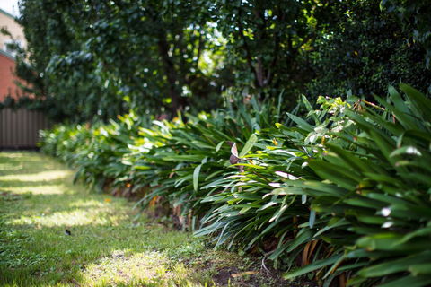 Merivale Motel - Sunshine Coast Guide 2