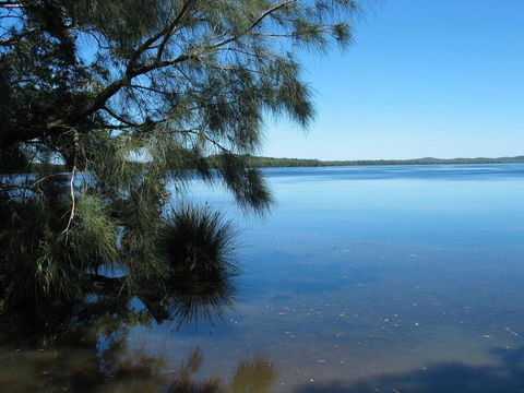 Myall River Magic - Sunshine Coast Guide 1