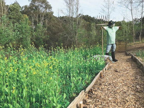 Mylor Farm, Adelaide Hills - Sunshine Coast Guide 1
