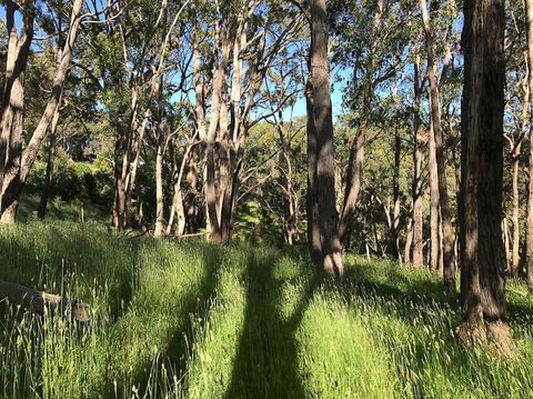 Mylor Farm, Adelaide Hills - Sunshine Coast Guide 0