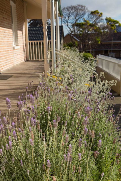 Spencer Cottage - Sunshine Coast Guide 11