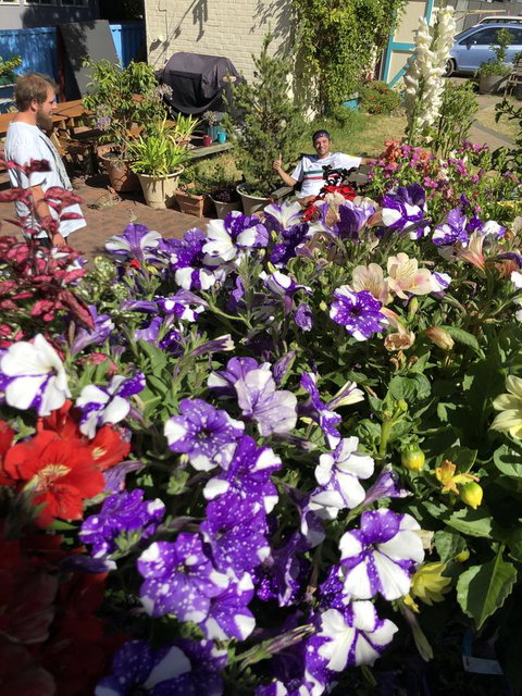 1849 Backpackers Albany - Sunshine Coast Guide 15