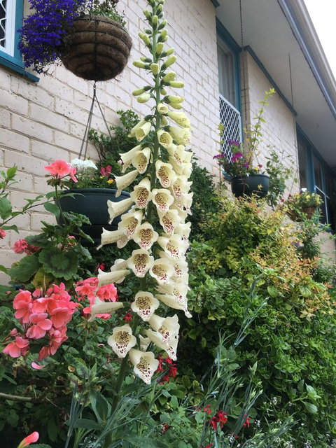 1849 Backpackers Albany - Sunshine Coast Guide 32