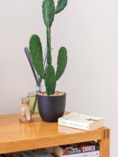 Cooper Street - Sunshine Coast Guide 23