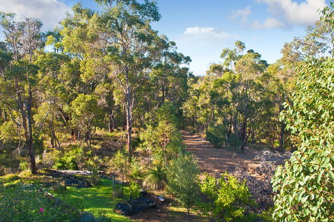 A Hidden Bush Delight - Sunshine Coast Guide 30