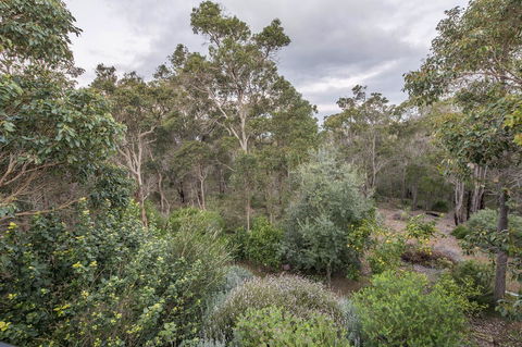 A Hidden Bush Delight - Sunshine Coast Guide 7