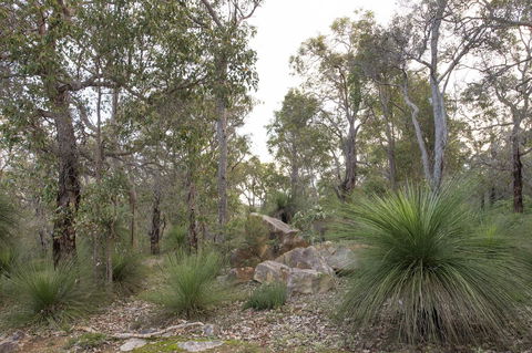 A Hidden Bush Delight - Sunshine Coast Guide 23