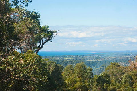 A Hidden Bush Delight - Sunshine Coast Guide 31