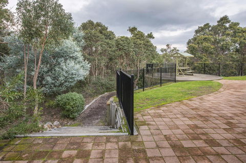A Hidden Bush Delight - Sunshine Coast Guide 9