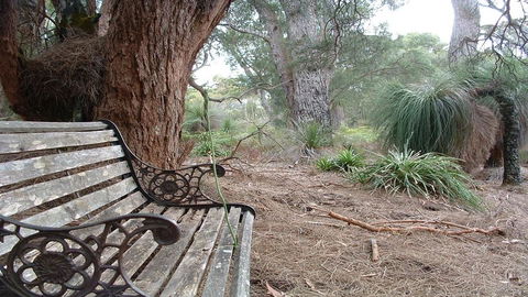 Yelverton Brook Conservation Sanctuary - Sunshine Coast Guide 42
