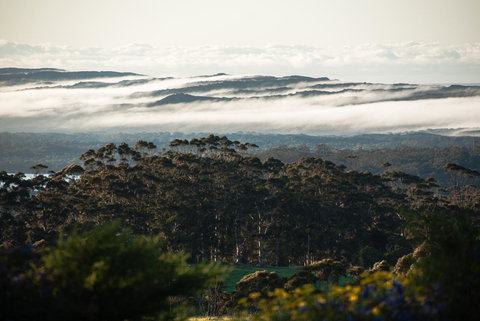 Celestine Retreat - Sunshine Coast Guide 13