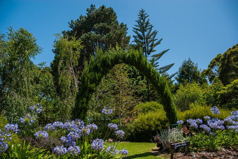 Celestine Retreat - Sunshine Coast Guide 15