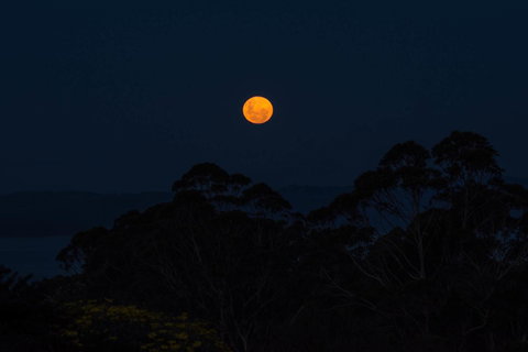 Celestine Retreat - Sunshine Coast Guide 11