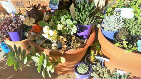 Quest Yelverton Kalgoorlie - Sunshine Coast Guide 11
