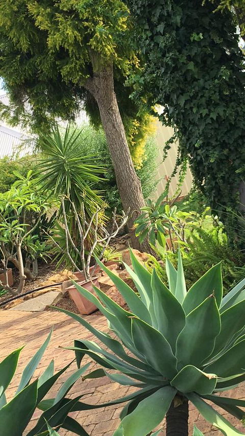 Armadale Cottage Bed & Breakfast - Sunshine Coast Guide 1
