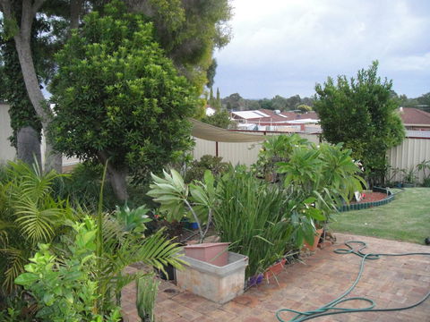 Armadale Cottage Bed & Breakfast - Sunshine Coast Guide 39
