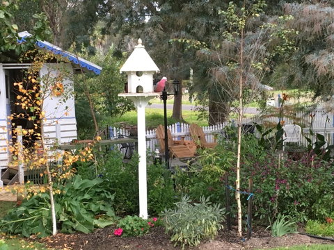 Applegate Lane Chalet - Sunshine Coast Guide 24