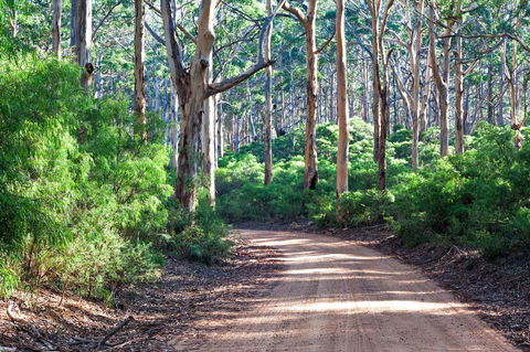 Margaret River Retreat - Sunshine Coast Guide 20