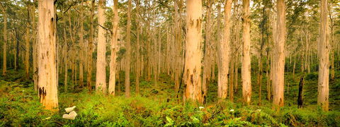Indoyo Retreat - Sunshine Coast Guide 34