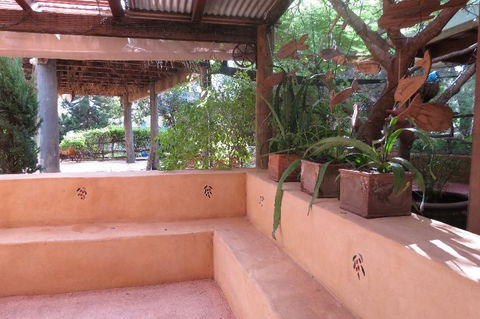 Bentwood Olive Grove Accommodation - Sunshine Coast Guide 10