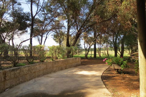Bentwood Olive Grove Accommodation - Sunshine Coast Guide 2