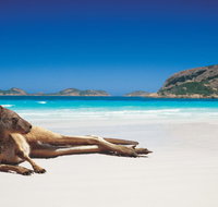 The Shiralee - Sunshine Coast Guide