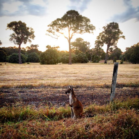 Ironstone Studio Margaret River - Sunshine Coast Guide 18