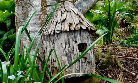 43 Degrees Bruny Island - Sunshine Coast Guide 7