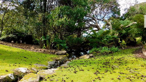 43 Degrees Bruny Island - Sunshine Coast Guide 8