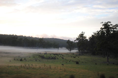 A Slice Of Paradise - Sunshine Coast Guide 14