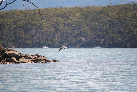 A Slice Of Paradise - Sunshine Coast Guide 18