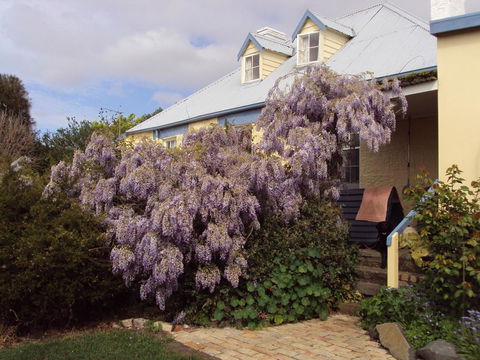 Orford's Sanda House B&B - Sunshine Coast Guide 40