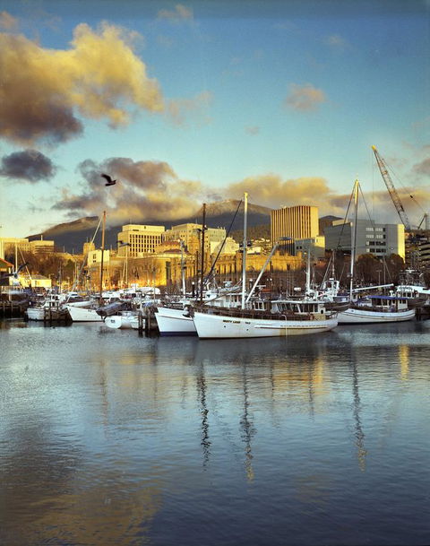 The Henry Jones Art Hotel - Sunshine Coast Guide 2
