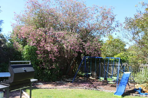 Sisters Beach Paradise - Sunshine Coast Guide 9