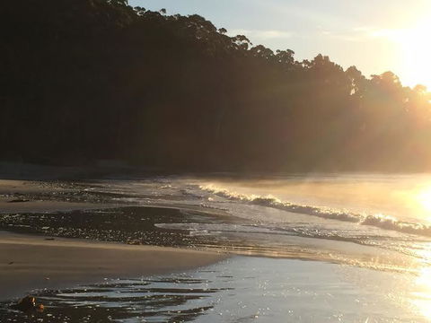 Summertime Cottage - Sunshine Coast Guide 7