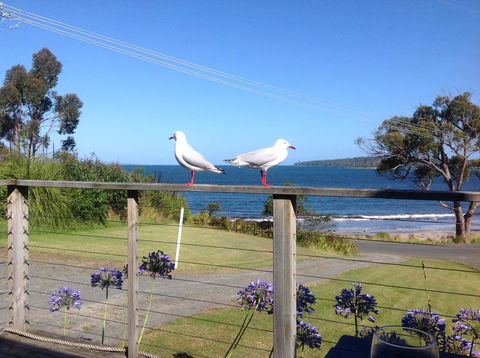 Summertime Cottage - Sunshine Coast Guide 25