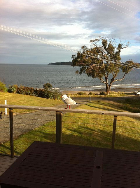 Summertime Cottage - Sunshine Coast Guide 30
